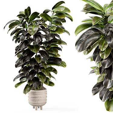 Modern Indoor Plants in Concrete 3D model image 1 