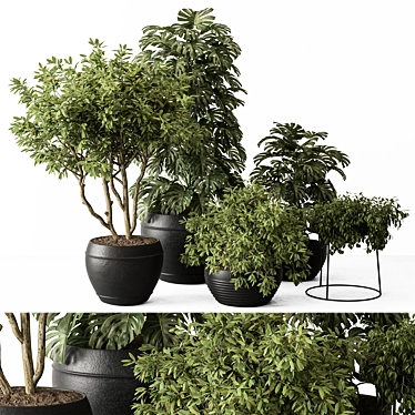 Botanical Duo - Tree & Bush 3D model image 1 