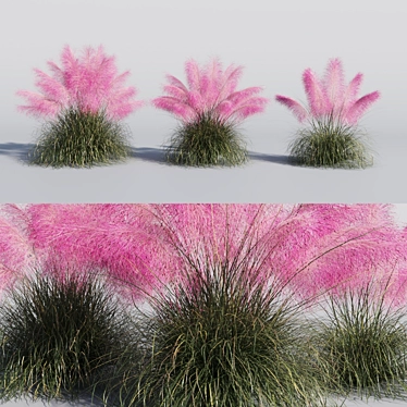 Pink Muhly Grass 3D Model 3D model image 1 