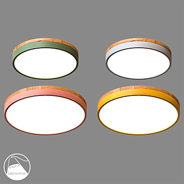 Wood Circle Ceiling Lamp - Ø 50 cm 3D model image 1 