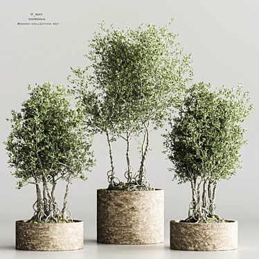 Modern Indoor Plant Collection 2015 3D model image 1 