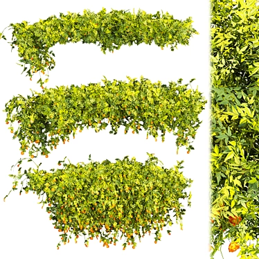 Quality Plant Collection Model 3D model image 1 