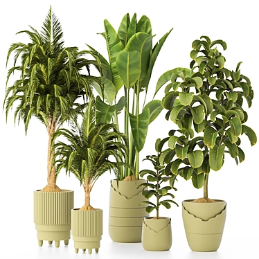 Premium Indoor Plant Collection 135 3D model image 1 