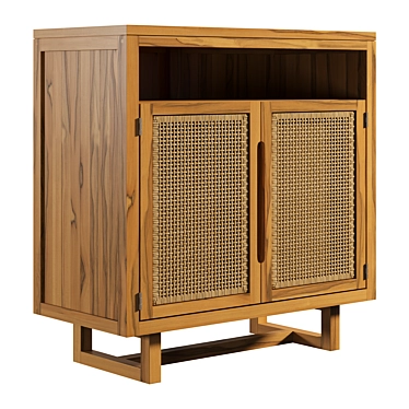 Teak Wicker Patio Cabinet 3D model image 1 