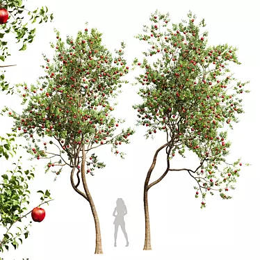 Red Delicious Apple Tree 3D 3D model image 1 