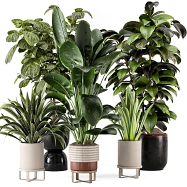  Modern Indoor Plants Set 983 3D model image 1 