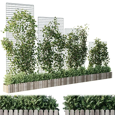 Grid Plant Set with Wooden Box 3D model image 1 