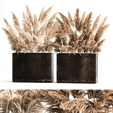 Rustic Reed Bouquet in Pampas Grass Pot 3D model image 1 