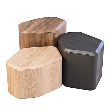 BluDot Acacia Side Storage Tables 3D model image 1 