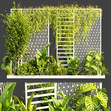 Urban Plant Collection Pack 3D model image 1 