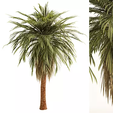 Palm Tree No.6 Miniature Sculpture 3D model image 1 