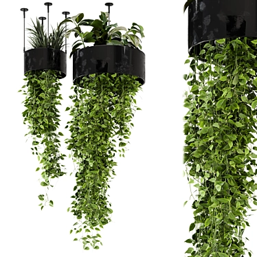 Metal Box Hanging Plants Set 3D model image 1 