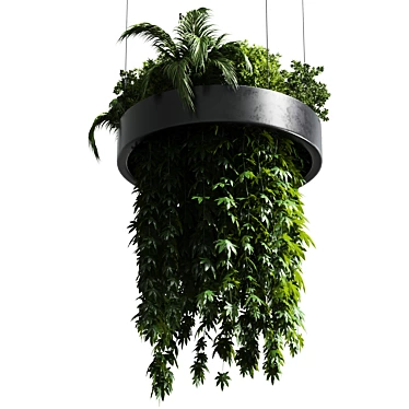 Title: Metal Hanging Indoor Plant 3D model image 1 