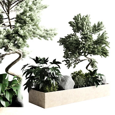 Bonsai Garden Set 3D Model 3D model image 1 