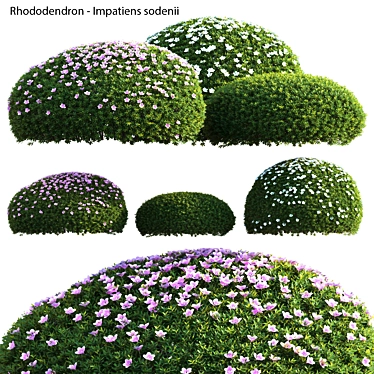 Versatile 3D Plant Models Collection 3D model image 1 