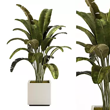 Modern Minimalist Indoor Plant No.21 3D model image 1 