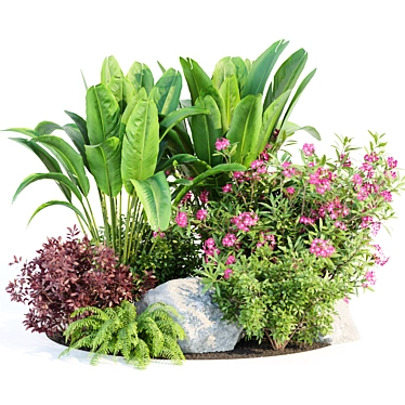 Garden Oasis Plants Collection 3D model image 1 