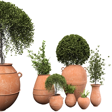 Indoor Plants in Clay pots _ set 100