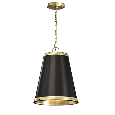 Black Brass Pendant Light 60W 3D model image 1 