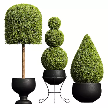 Nerve Plant 3D Model Set 3D model image 1 