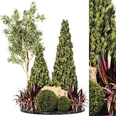 Outdoor Plant 63 3D Model 3D model image 1 