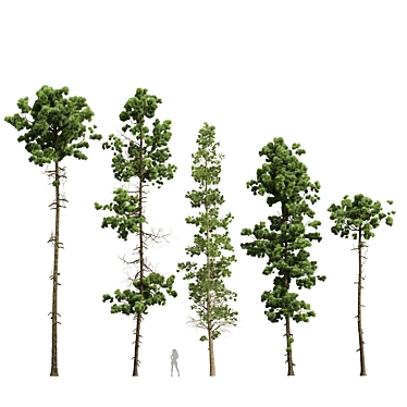 5 Diverse Tree 3D Models 3D model image 1 