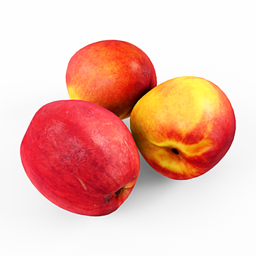 Juicy Nectarines 3D model image 1 