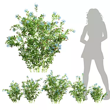 Nerve Plant 3D Model Collection 3D model image 1 