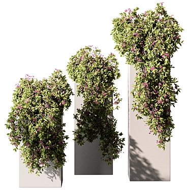 Boxed Outdoor Hanging Plant 454 3D model image 1 