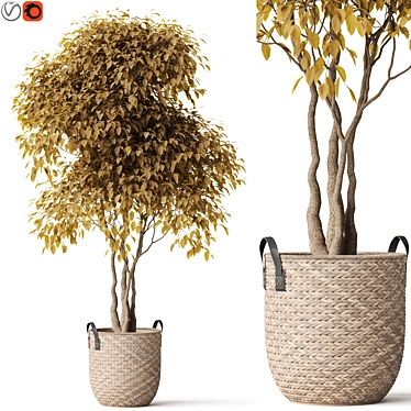 Botanical Bliss Collection: 449K+ Polygons 3D model image 1 