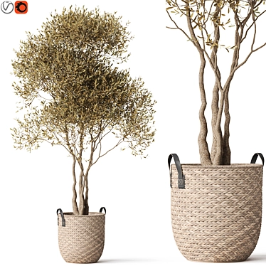 Botanical Beauty 787 Collection 3D model image 1 