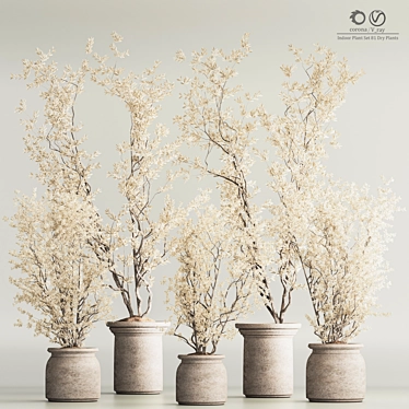 Modern Dry Indoor Plant Set 3D model image 1 