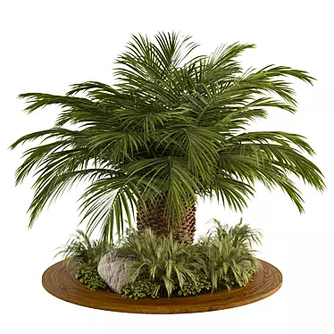 Modern Indoor Plant Set 2013 3D model image 1 