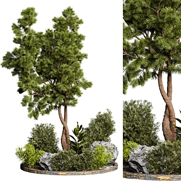 Outdoor Plant 67 3D Model 3D model image 1 