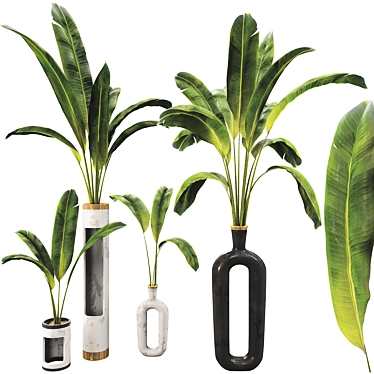 Banana Leaf Plant Vase Set 3D model image 1 