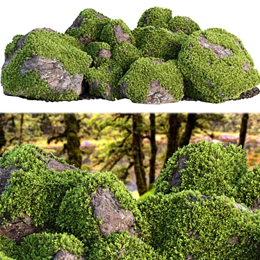 Mossy Rock Scatter Collection 3D 3D model image 1 