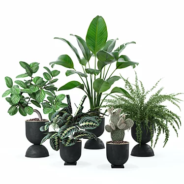 Vibrant Plant Collection Bundle 3D model image 1 