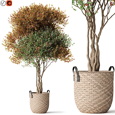 Botanical Ensemble 794 3D model image 1 