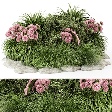 Pink Flower Bush Set - 3D Model 3D model image 1 