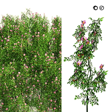 Blooming Dog Rose Field Model 3D model image 1 