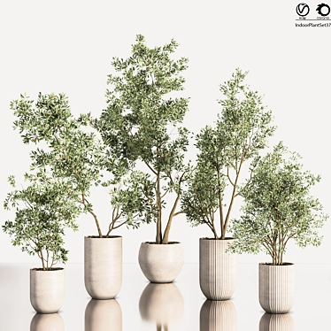 Contemporary Indoor Plant Set 3D model image 1 