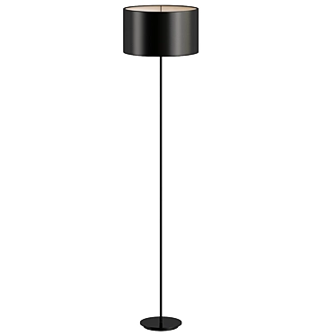 Elegant Bari Floor Lamp 3D model image 1 