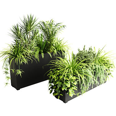 Indoor Plants in Floor Boxes 3D model image 1 