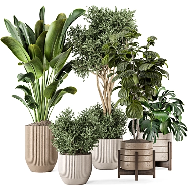 Modern Indoor Plants in Concrete Pots 3D model image 1 