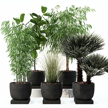 Modern Plant Collection Bundle 3D model image 1 