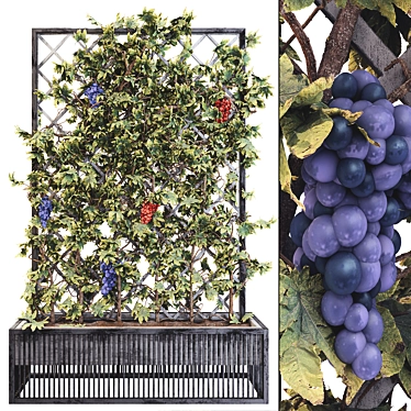 Grape Tree Flower Box 01 - 3D Model Kit 3D model image 1 