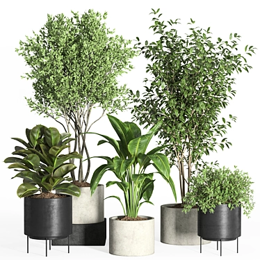 Modern Indoor Plant Set Eco-Friendly 3D model image 1 