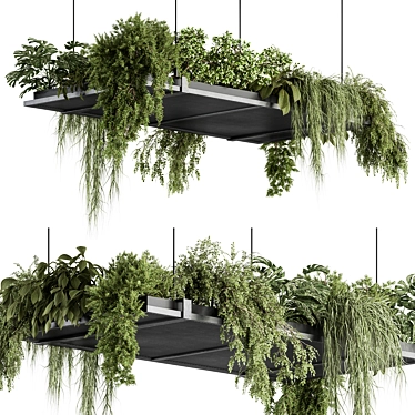 Botanical Beauty: Hanging Indoor Plants 3D model image 1 