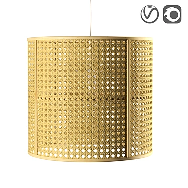 Natural Poetry Pendant Light 3D model image 1 