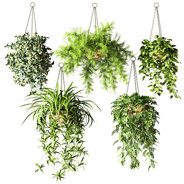 Hanging Plants in Half Spheres 3D model image 1 